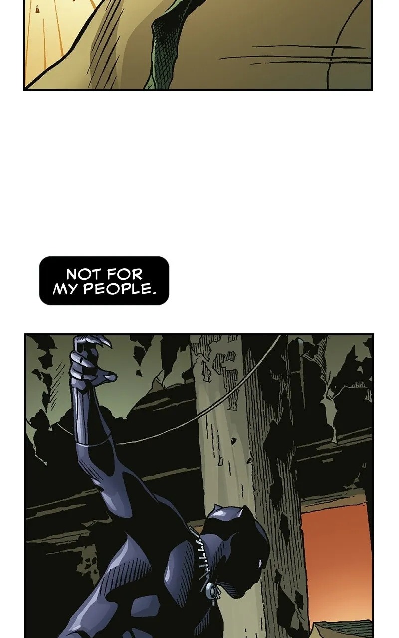 Black Panther:A Nation Under Our Feet Chapter 9 page 14 - 
