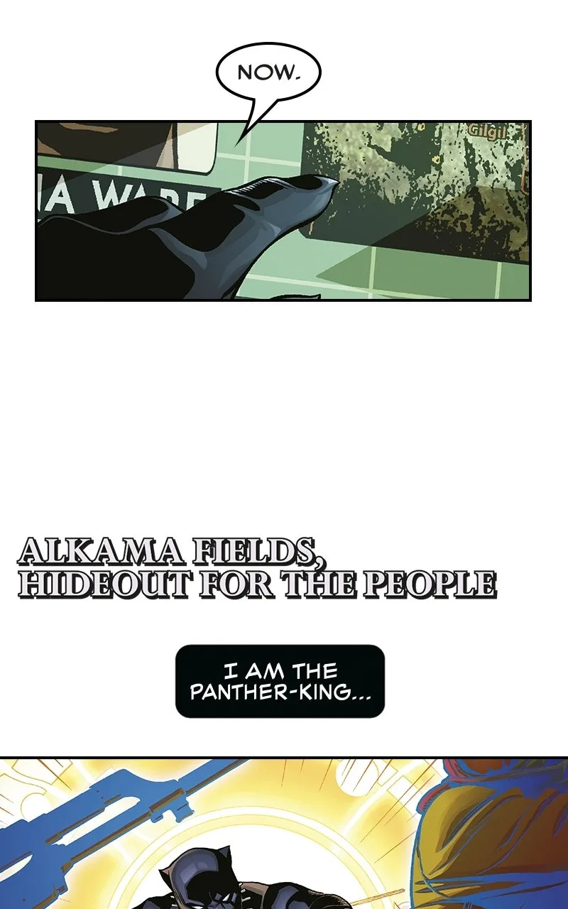 Black Panther:A Nation Under Our Feet Chapter 9 page 5 - 