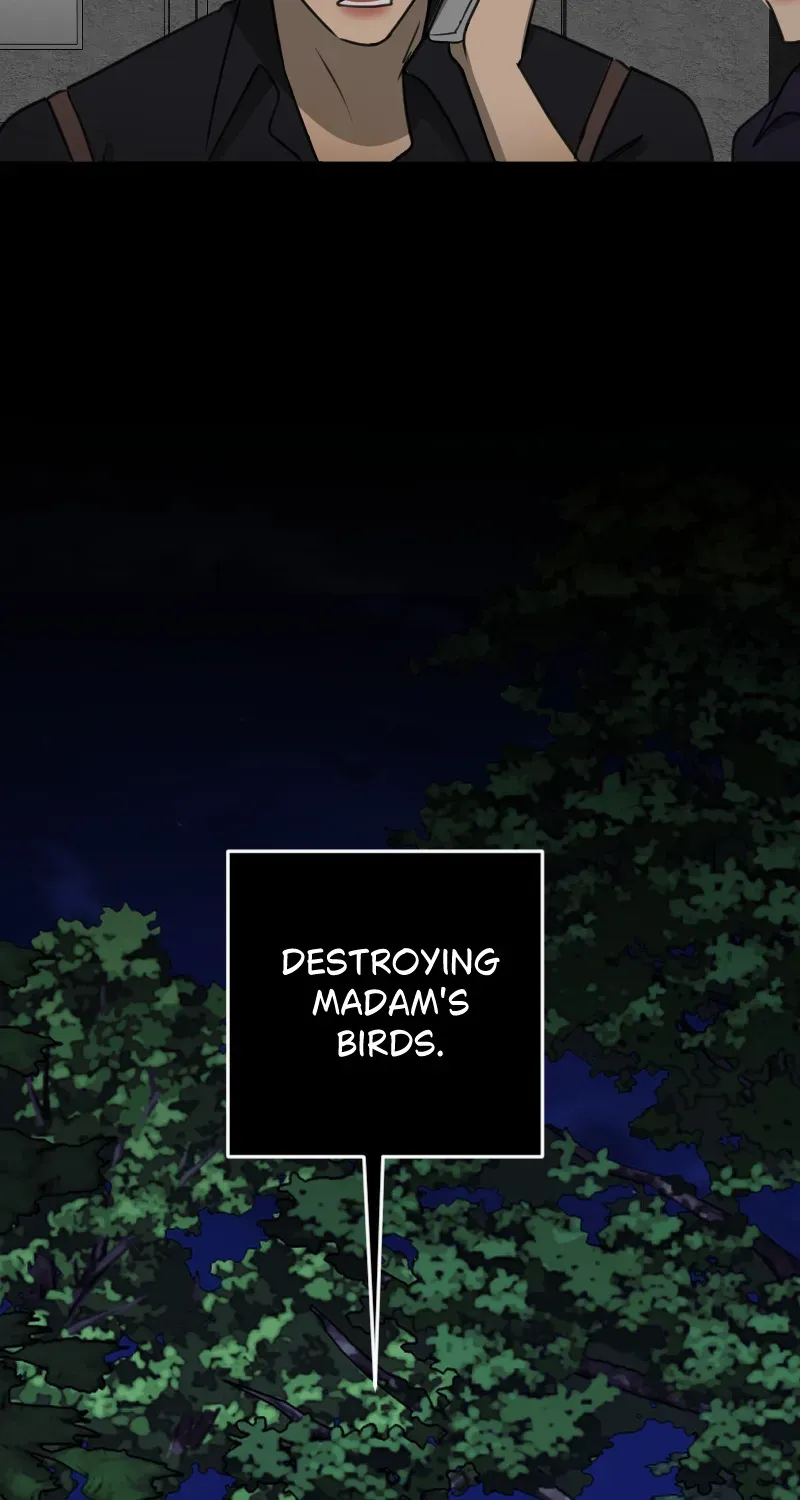 blackbird-s-requiem Chapter 161 page 67 - 