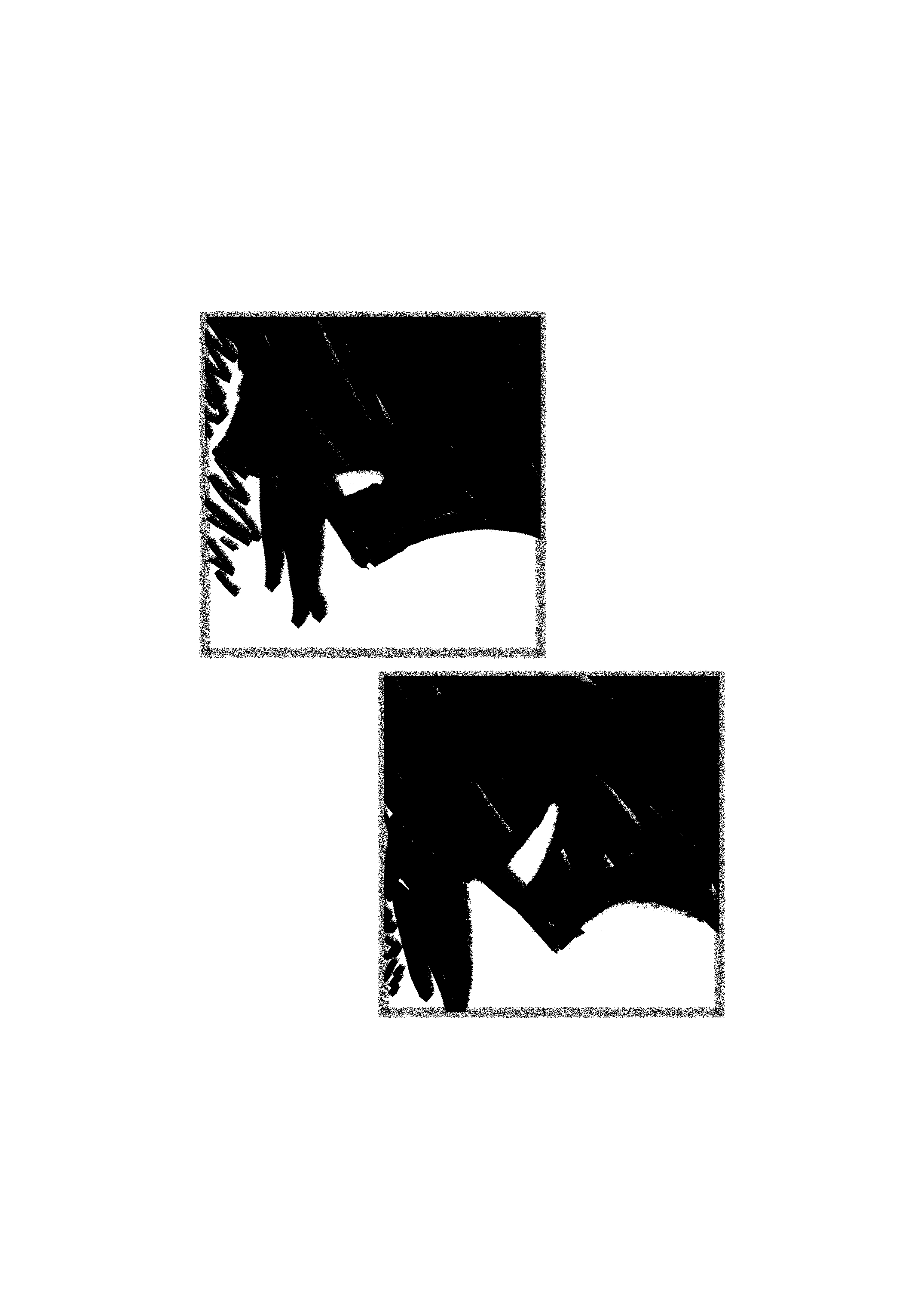 Blank World Chapter 1 page 49 - 