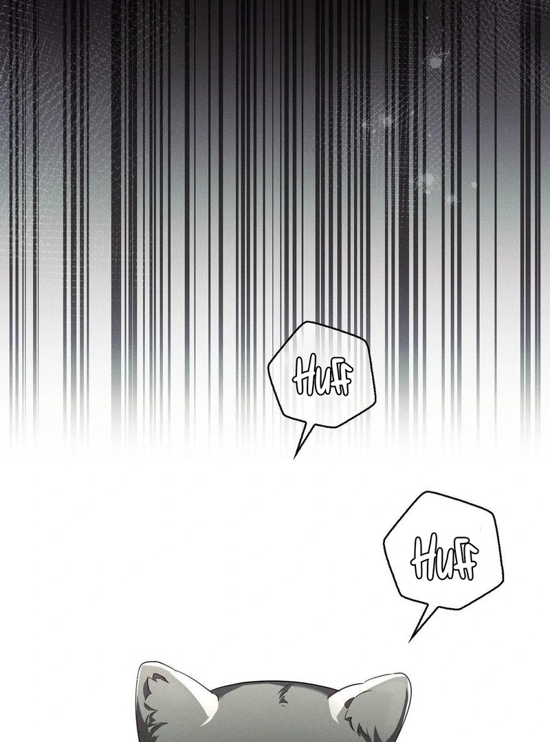 Blood Poker Chapter 15 page 72 - 