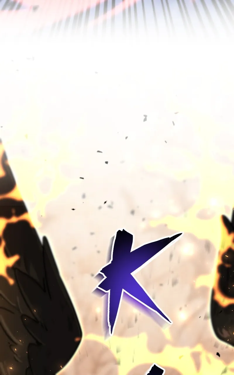 Blood System Chapter 13 page 113 - 