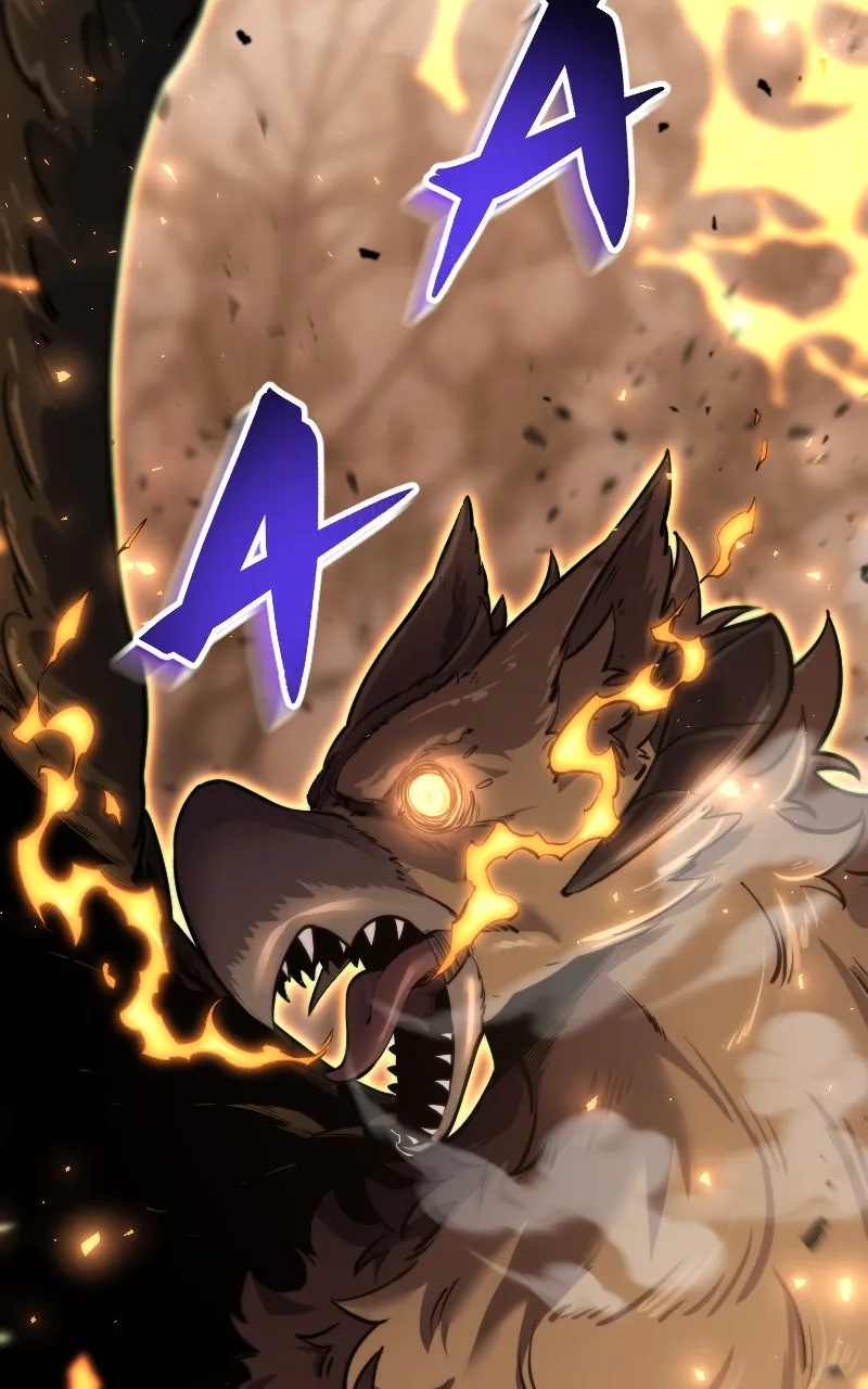 Blood System Chapter 13 page 114 - 