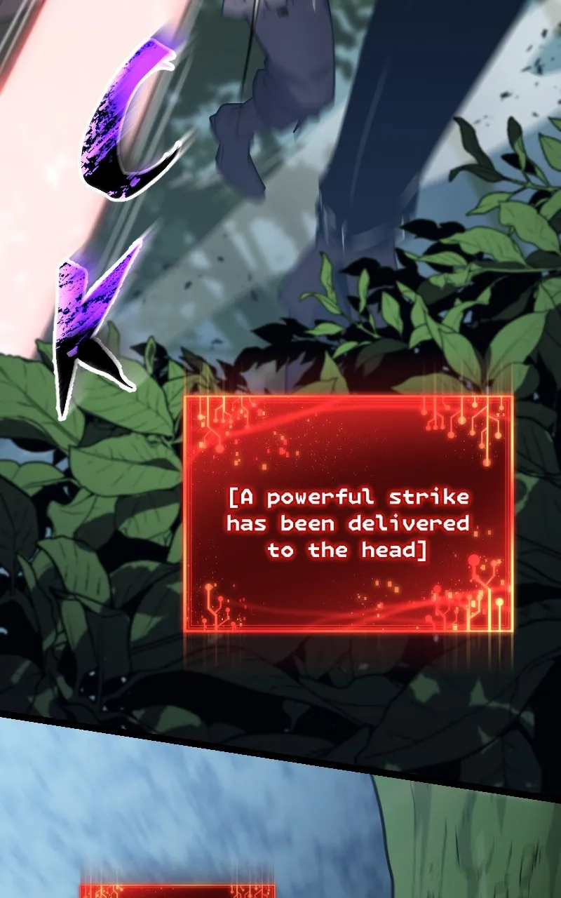 Blood System Chapter 14 page 95 - 