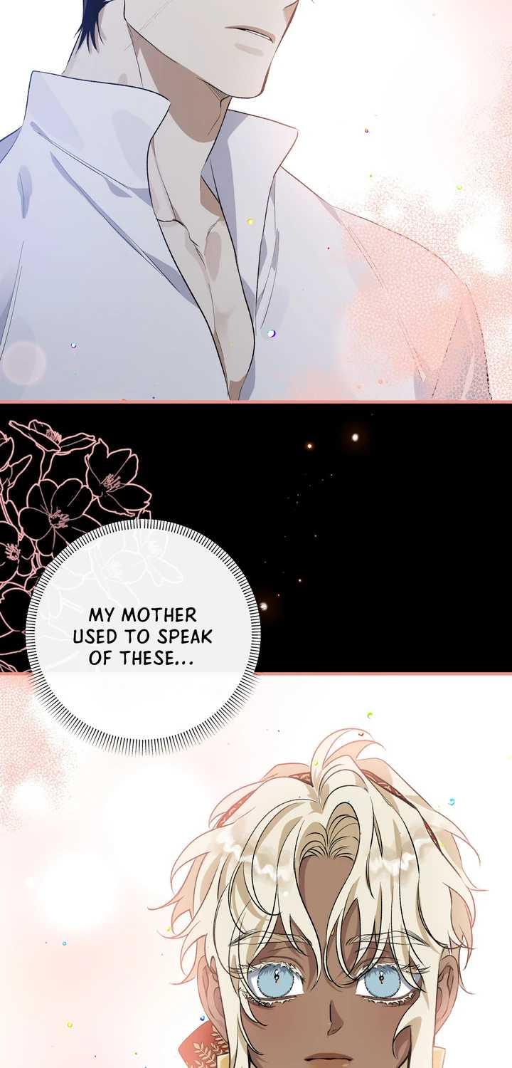 Blossoms of the White Night Chapter 18 page 23 - 