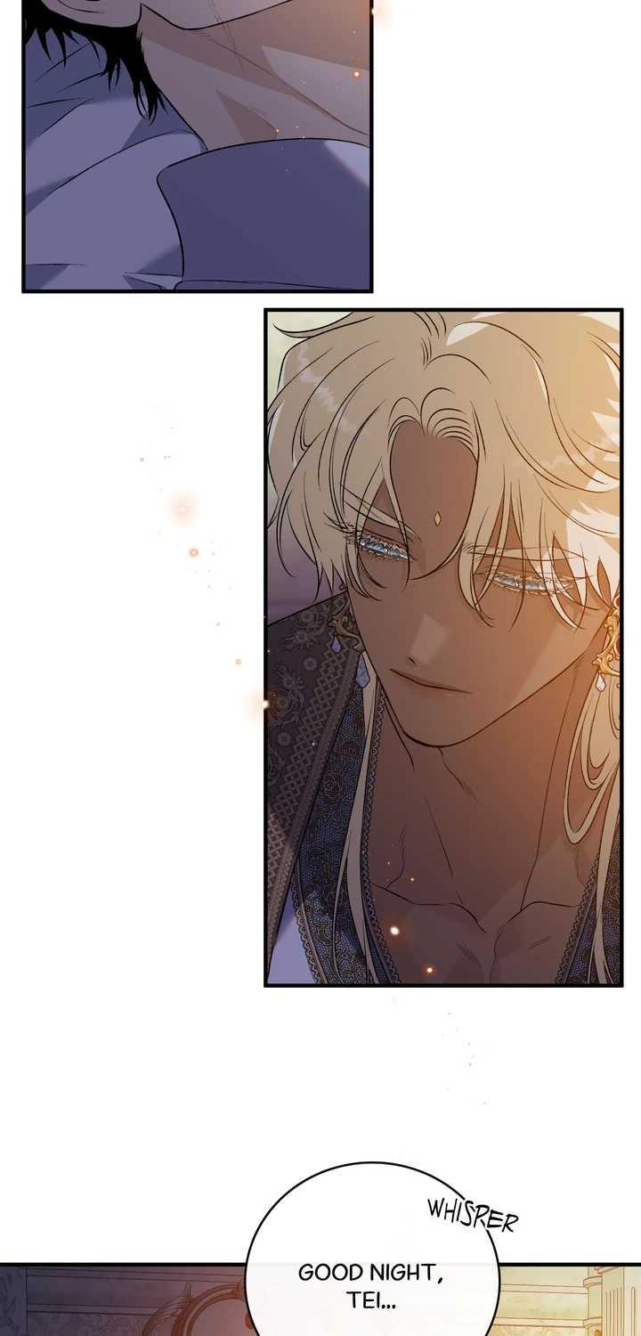 Blossoms of the White Night Chapter 18 page 67 - 