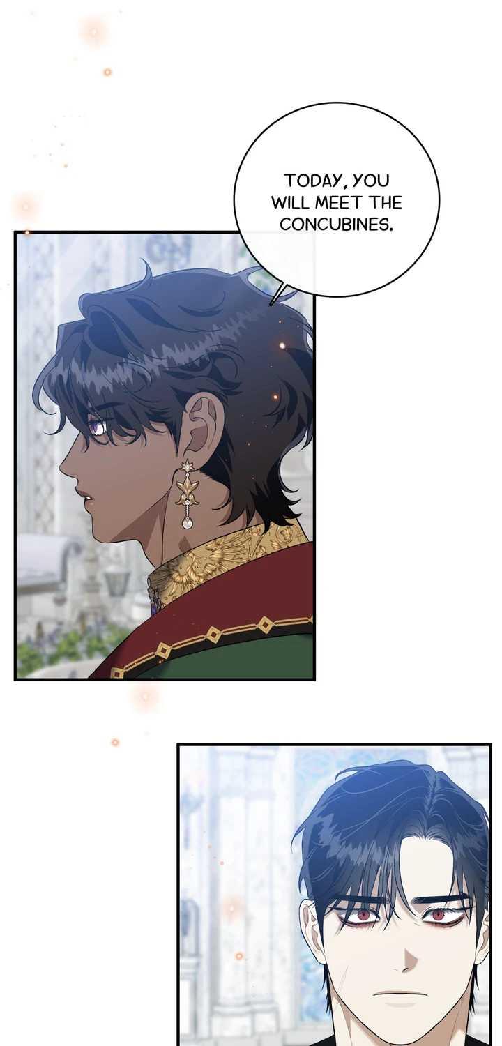 Blossoms of the White Night Chapter 19 page 25 - 