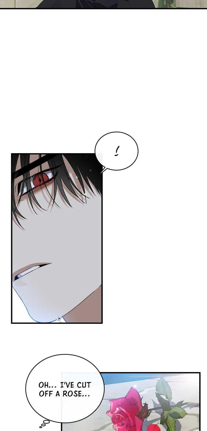 Blossoms of the White Night Chapter 25 page 3 - 