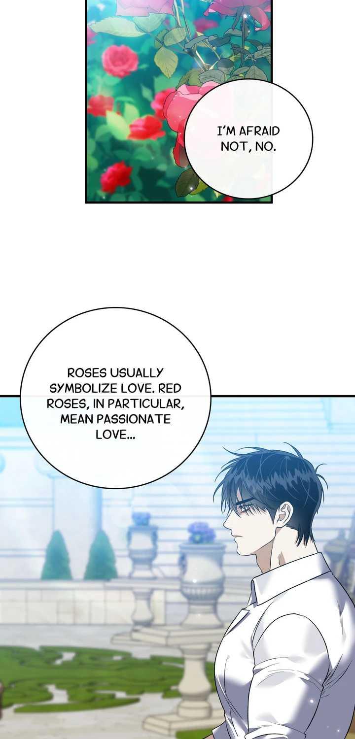 Blossoms of the White Night Chapter 25 page 24 - 