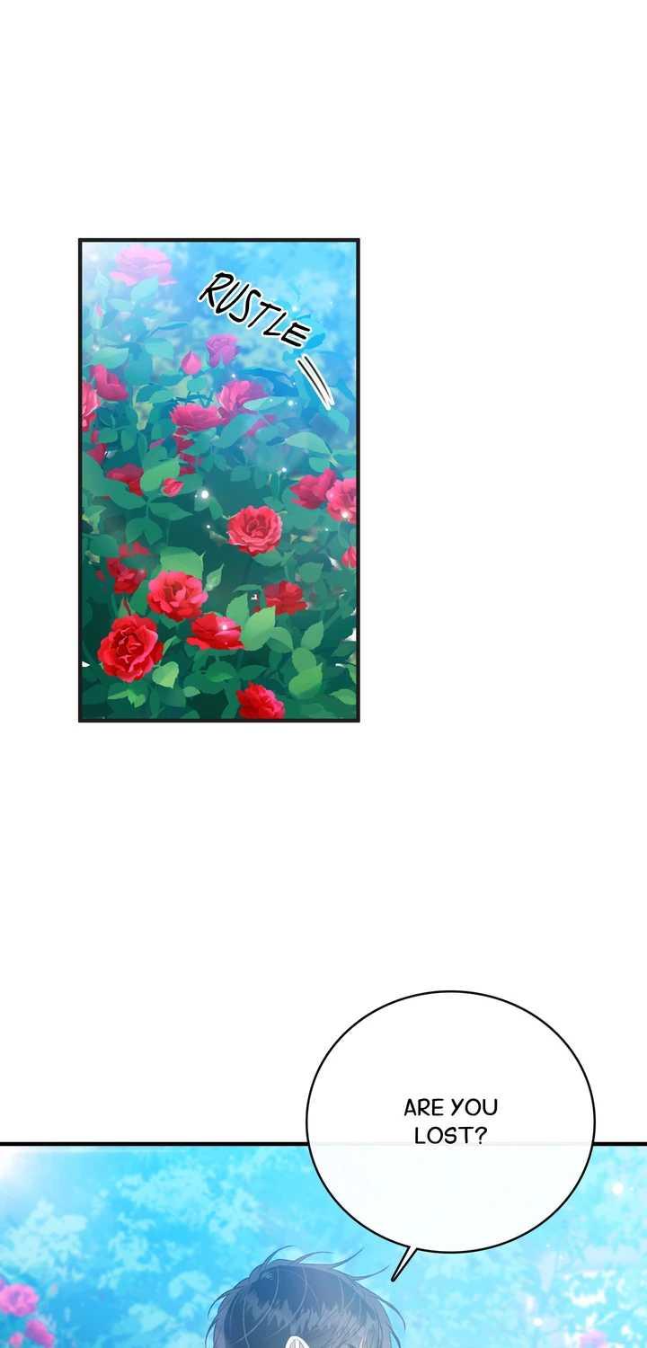 Blossoms of the White Night Chapter 25 page 7 - 