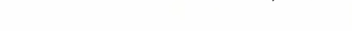 Blue Archive: The Adventure of Game Development Department Chapter 8 page 4 - 