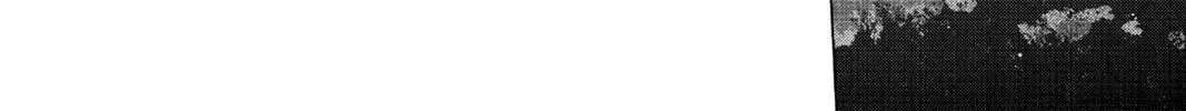 Blue Box Chapter 42 page 16 - 
