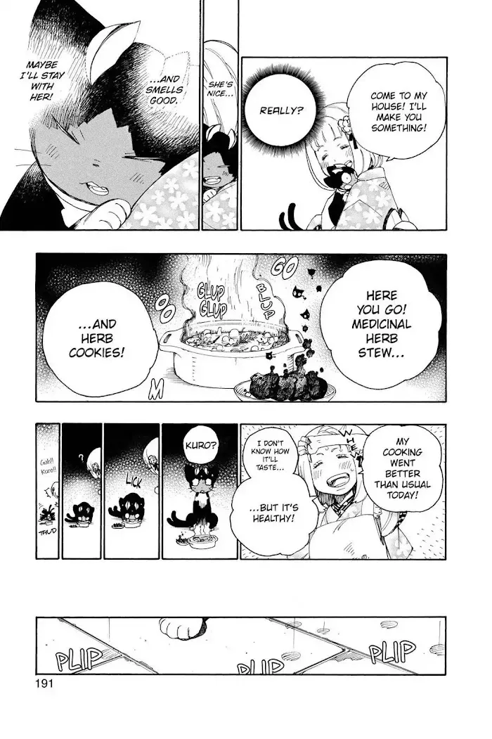 Blue Exorcist Chapter 2.2 page 13 - 