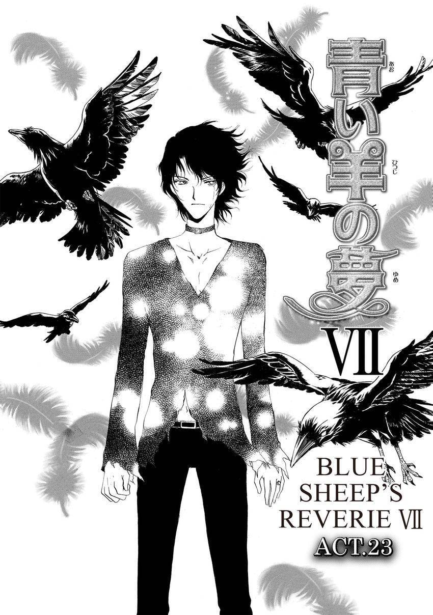 Blue Sheep