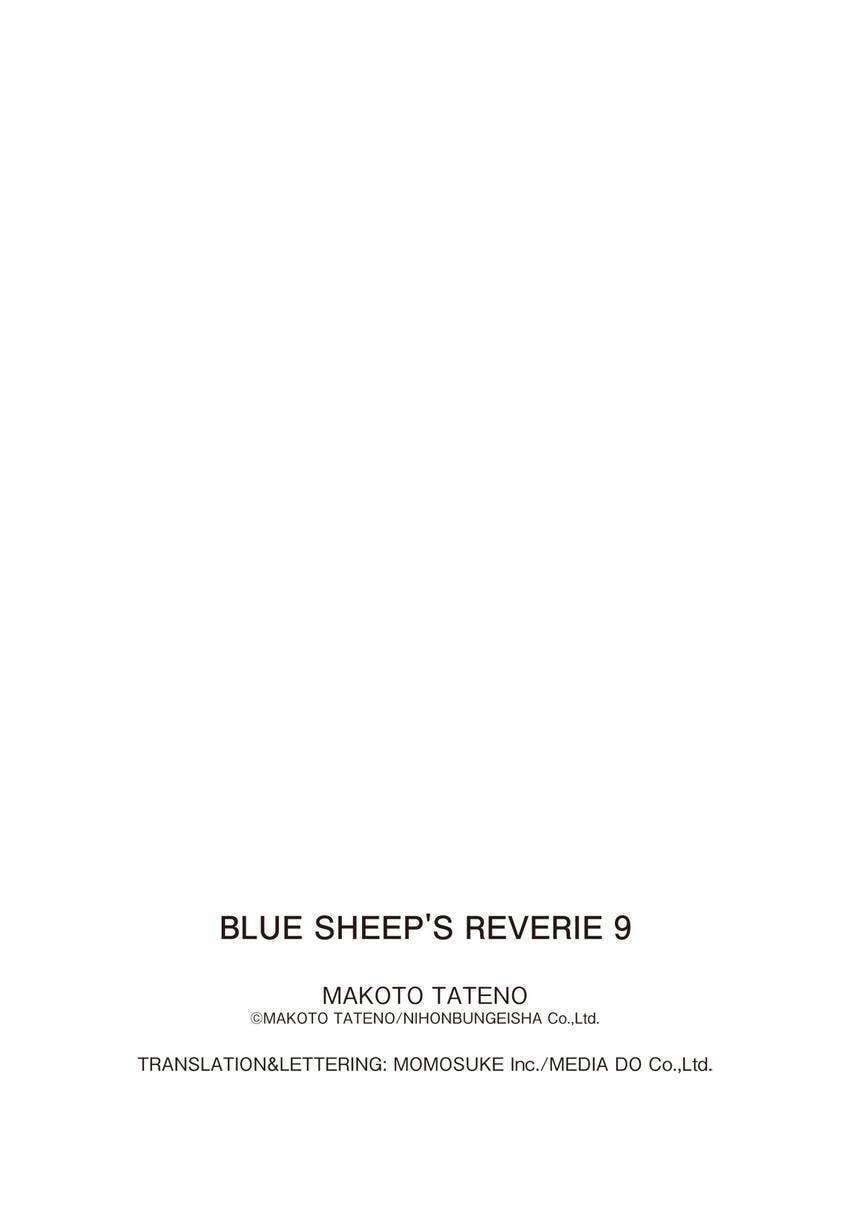 Blue Sheep