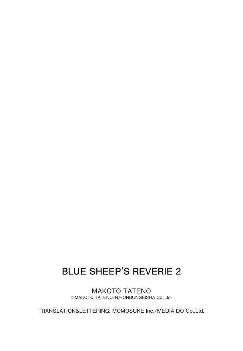 Blue Sheep