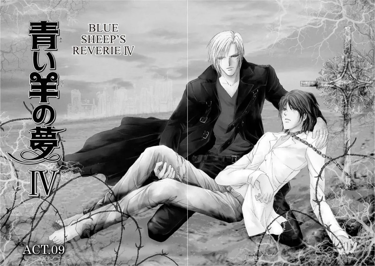 Blue Sheep