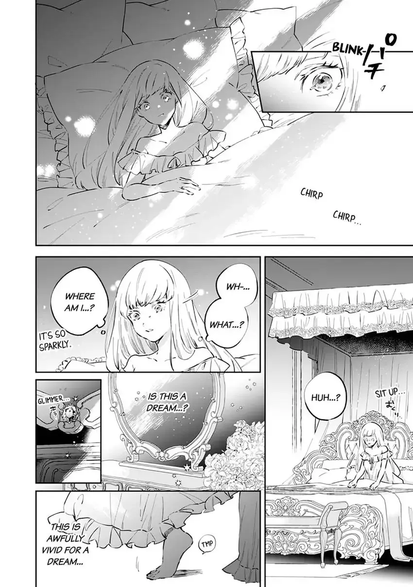 Body Swap of a Nerdy Girl and A Princess Reborn in Another World: Kiss Me Until I