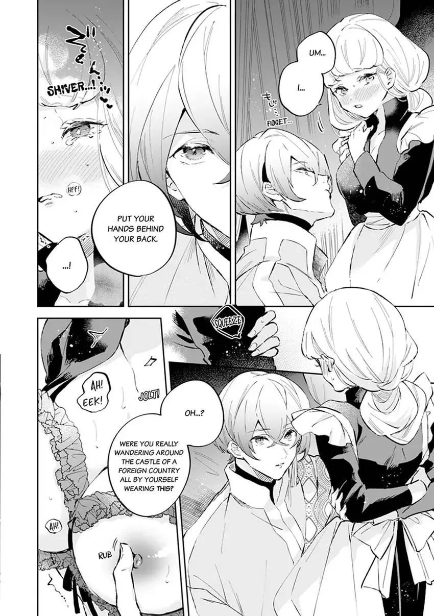 Body Swap of a Nerdy Girl and A Princess Reborn in Another World: Kiss Me Until I