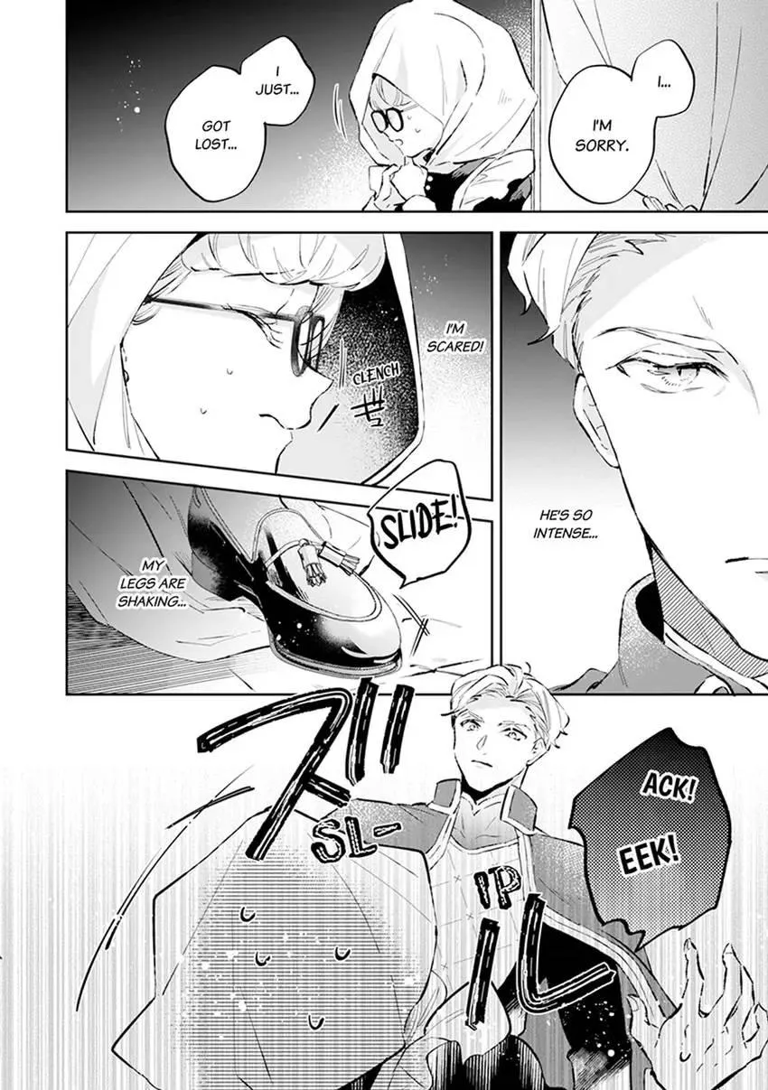 Body Swap of a Nerdy Girl and A Princess Reborn in Another World: Kiss Me Until I