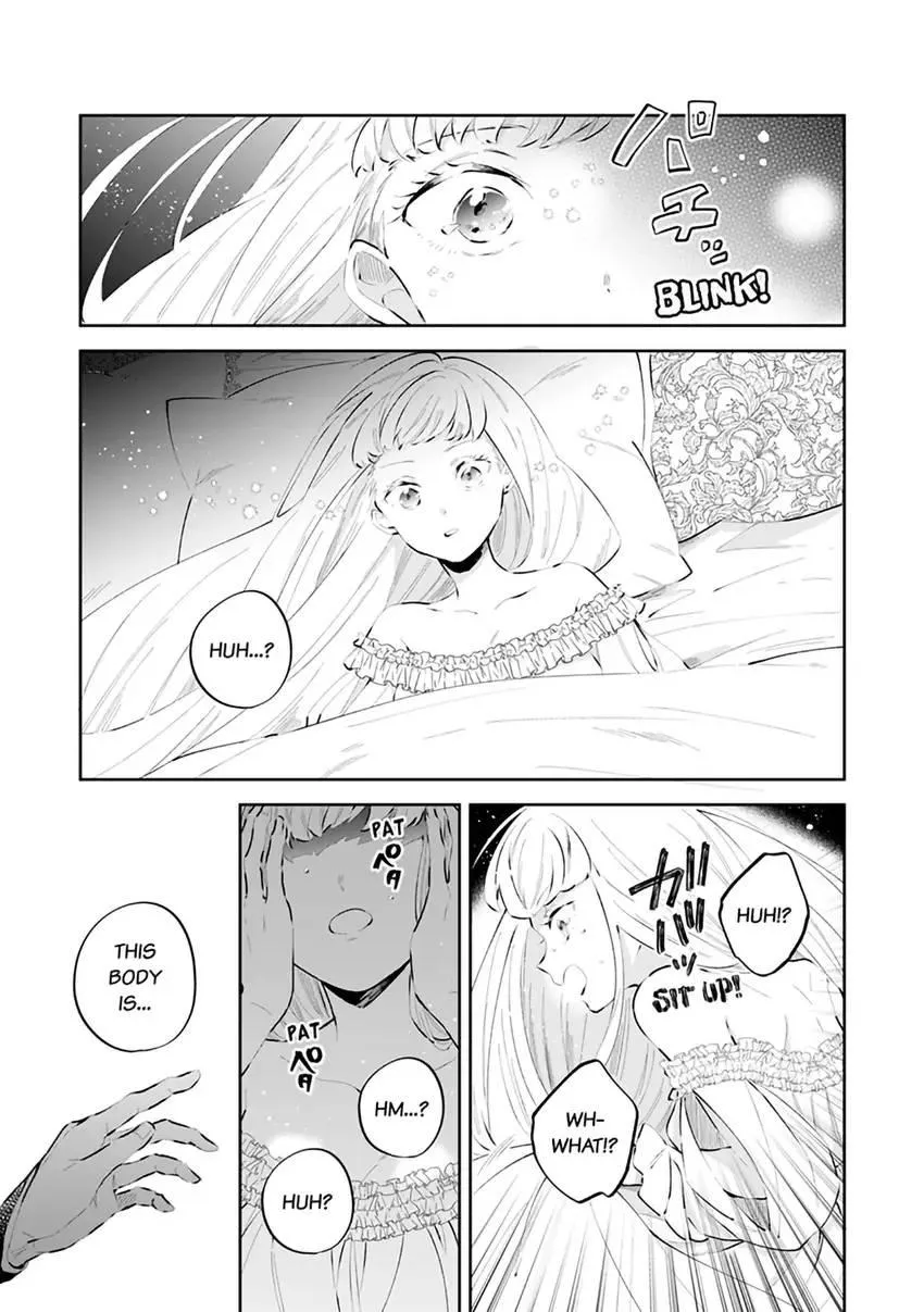 Body Swap of a Nerdy Girl and A Princess Reborn in Another World: Kiss Me Until I
