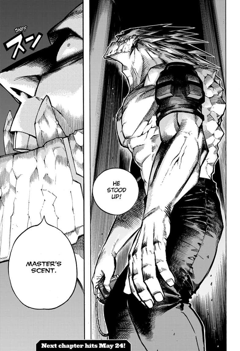 Boku No Hero Academia Chapter 271 page 17 - 