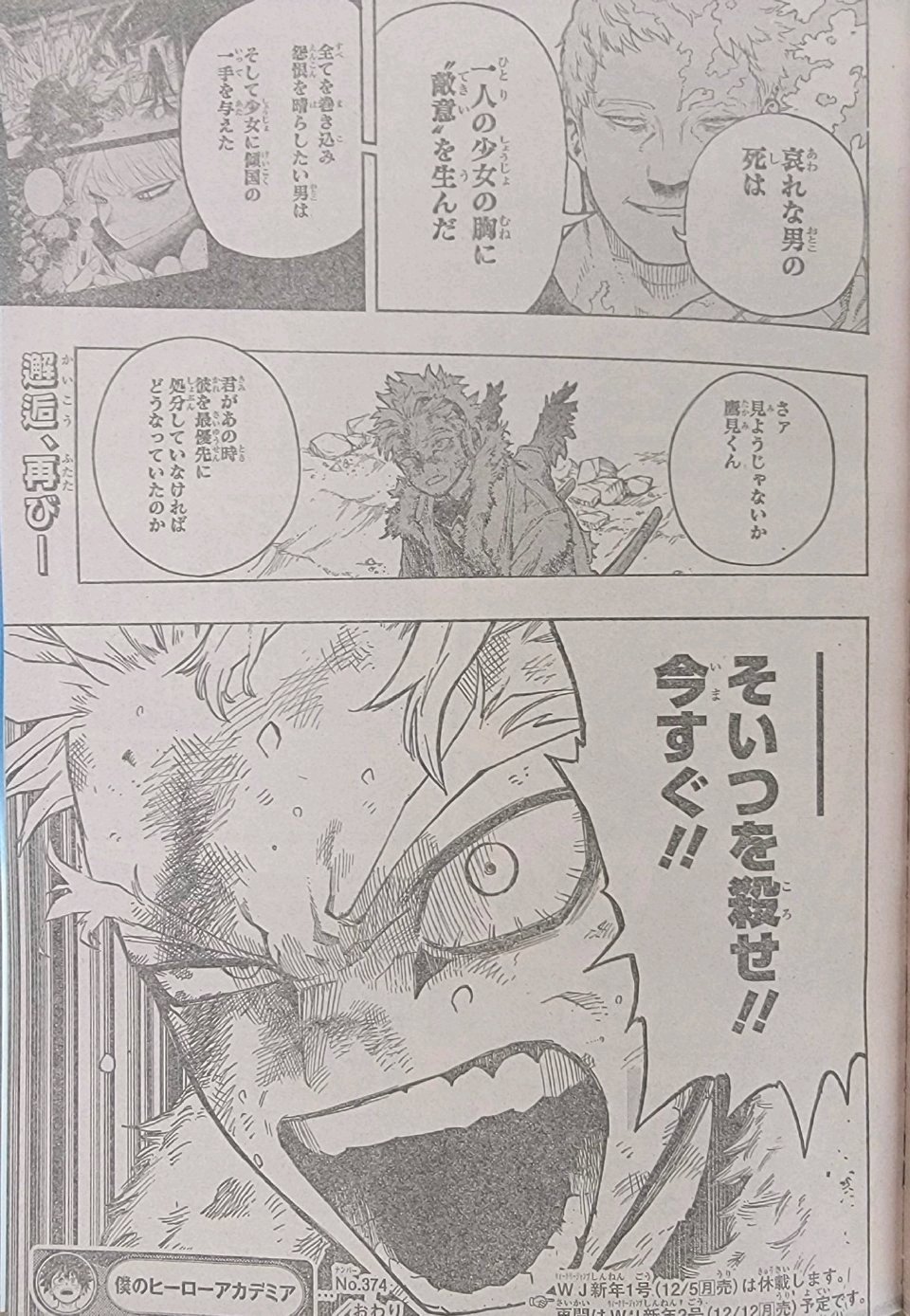 Boku No Hero Academia Chapter 374 page 15 - 