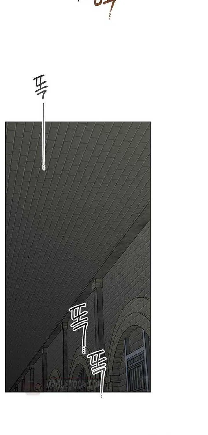 Born a Princess Chapter 100 page 75 - 