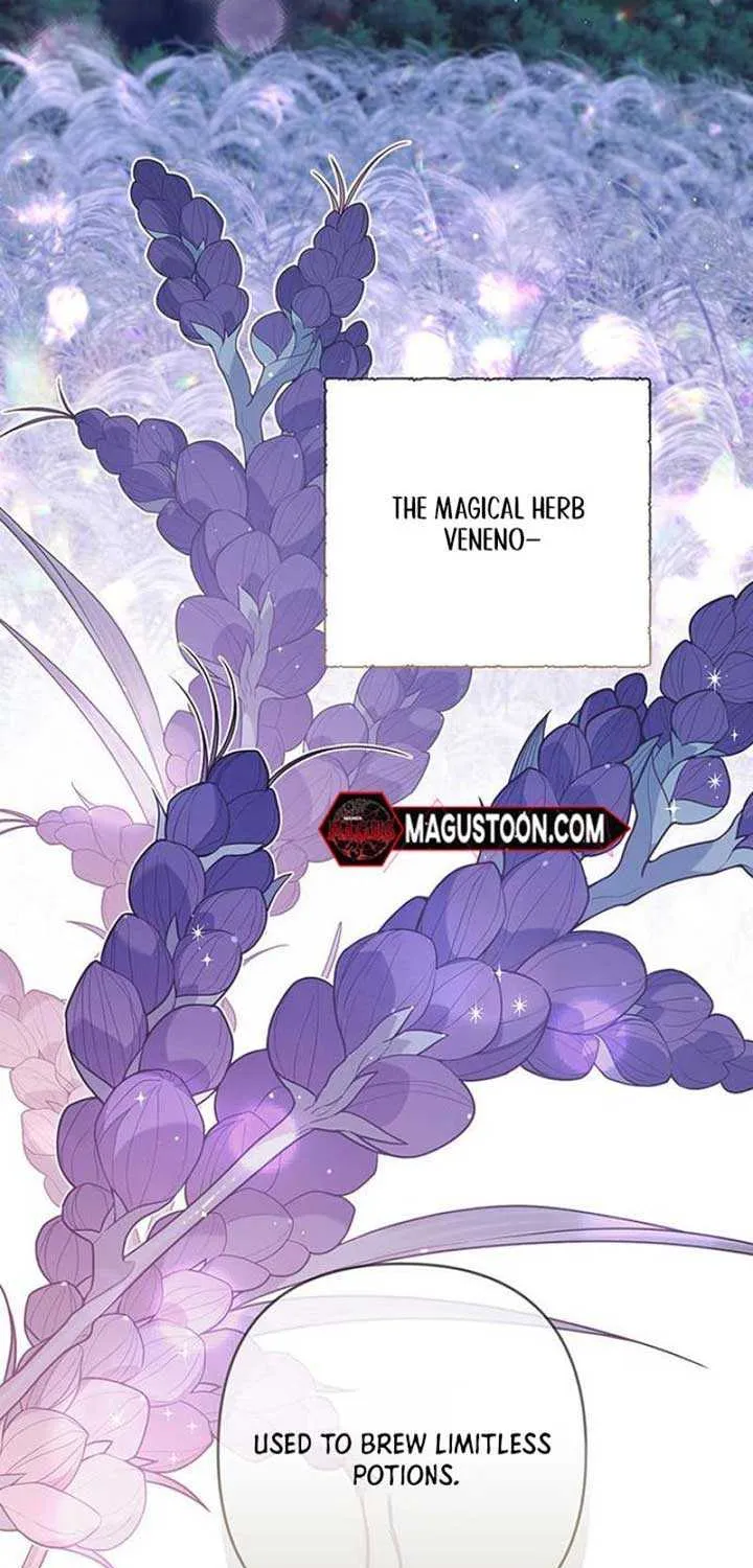 Born a Princess Chapter 108 page 70 - 