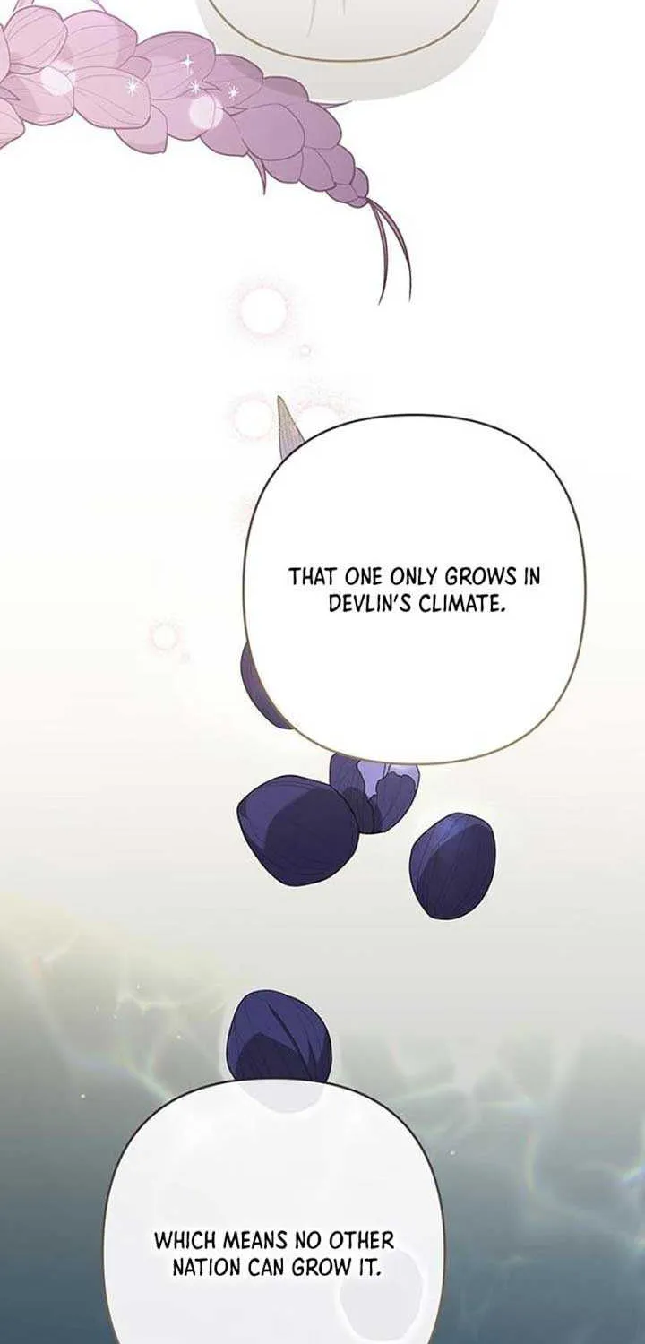 Born a Princess Chapter 108 page 71 - 