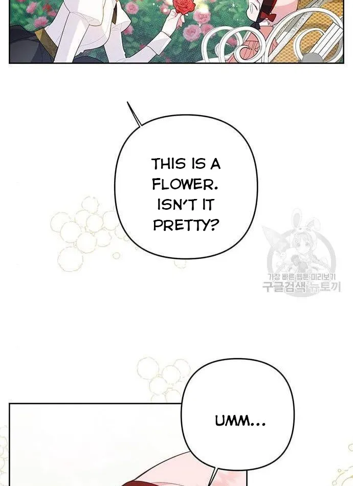 Born a Princess Chapter 11 page 29 - 