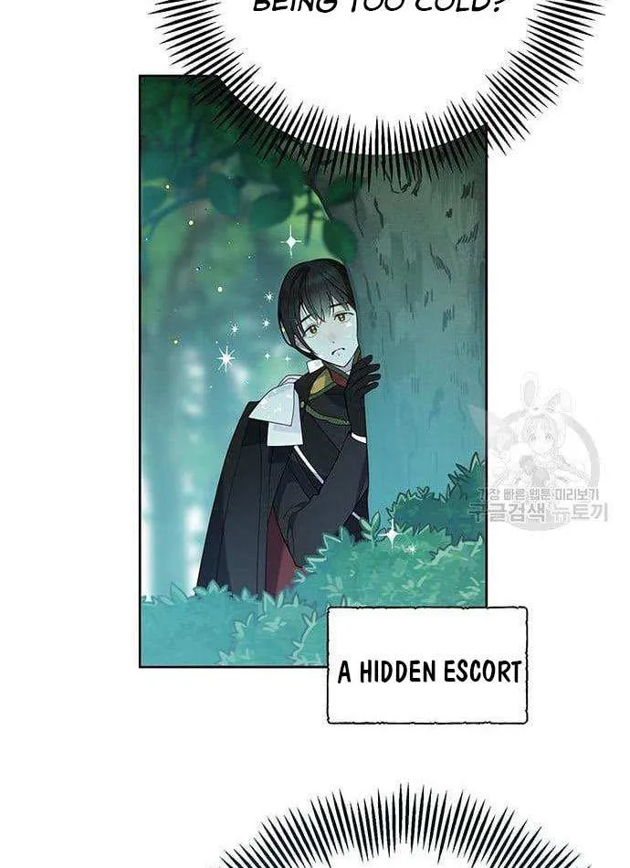 Born a Princess Chapter 11 page 41 - 