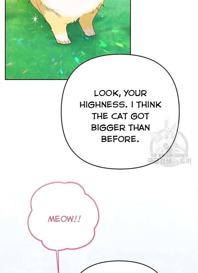 Born a Princess Chapter 11 page 49 - 