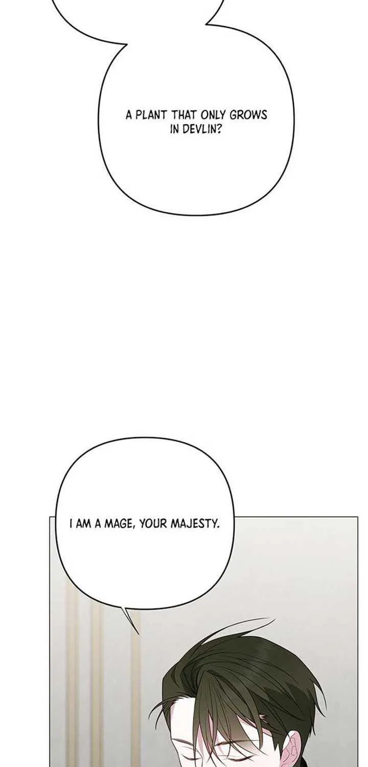 Born a Princess Chapter 110 page 35 - 