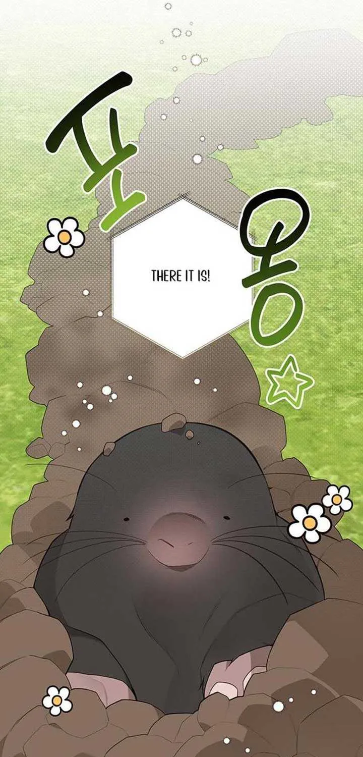 Born a Princess Chapter 111 page 78 - 