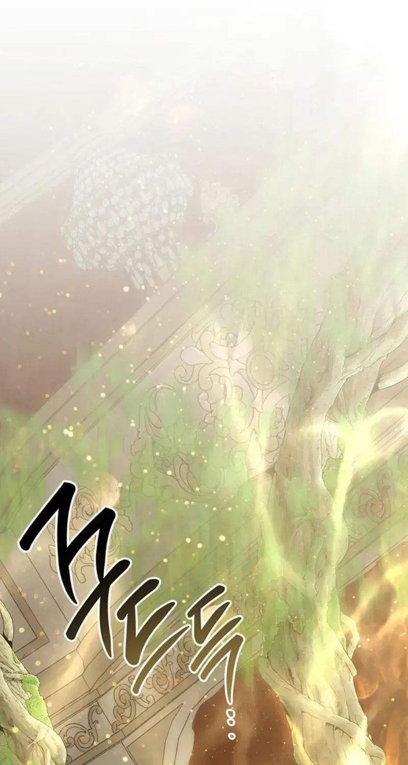 Born a Princess Chapter 115 page 99 - 