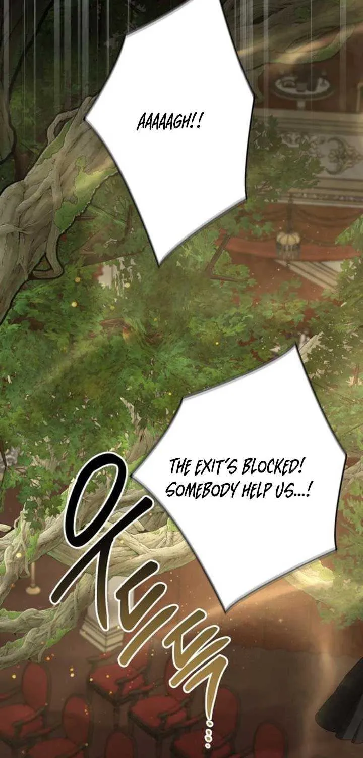 Born a Princess Chapter 116 page 13 - 