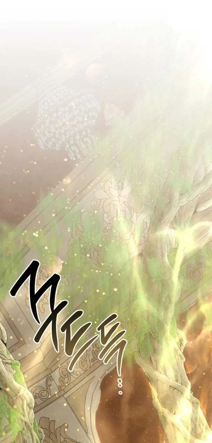 Born a Princess Chapter 116 page 4 - 