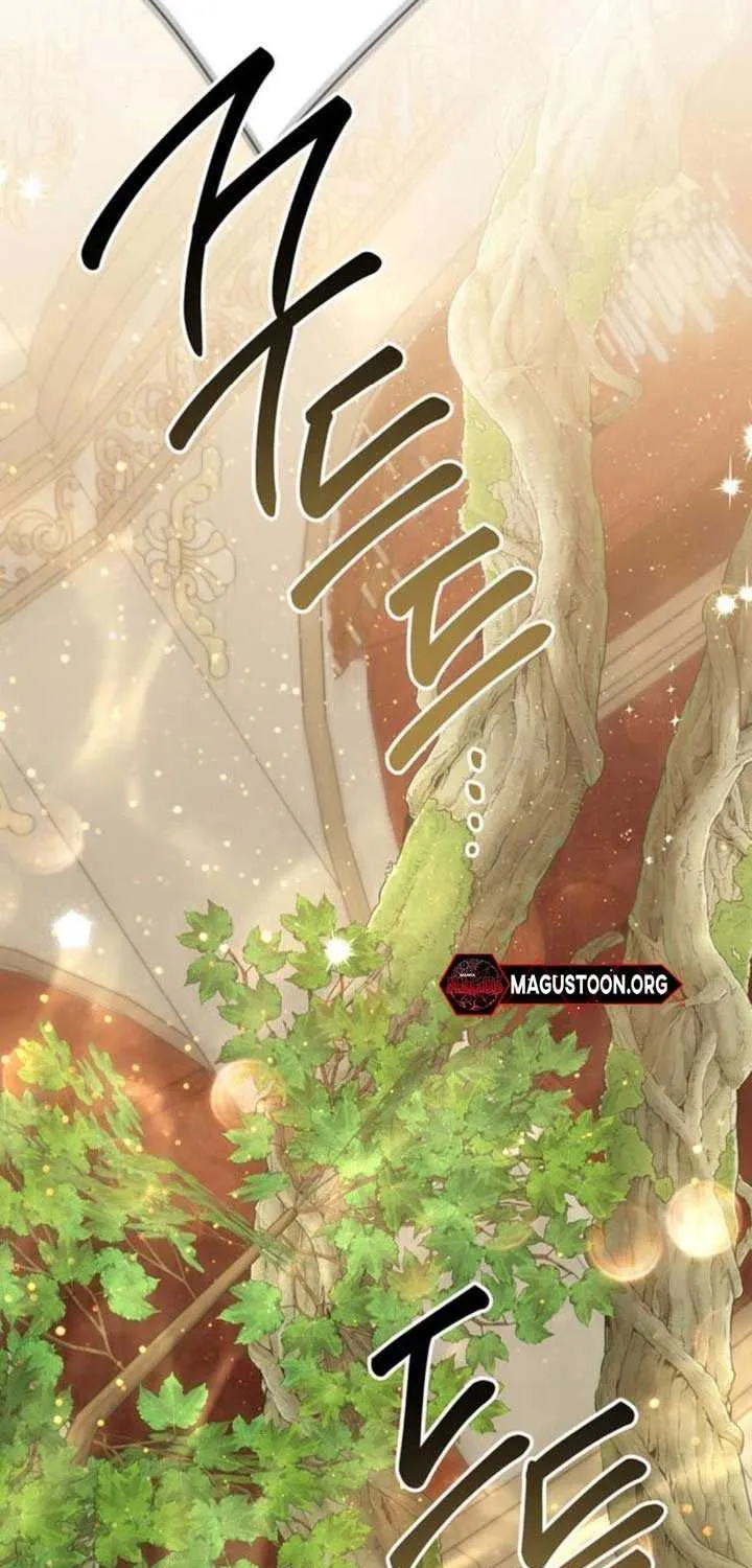 Born a Princess Chapter 116 page 6 - 