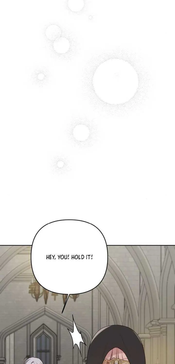 Born a Princess Chapter 116 page 99 - 
