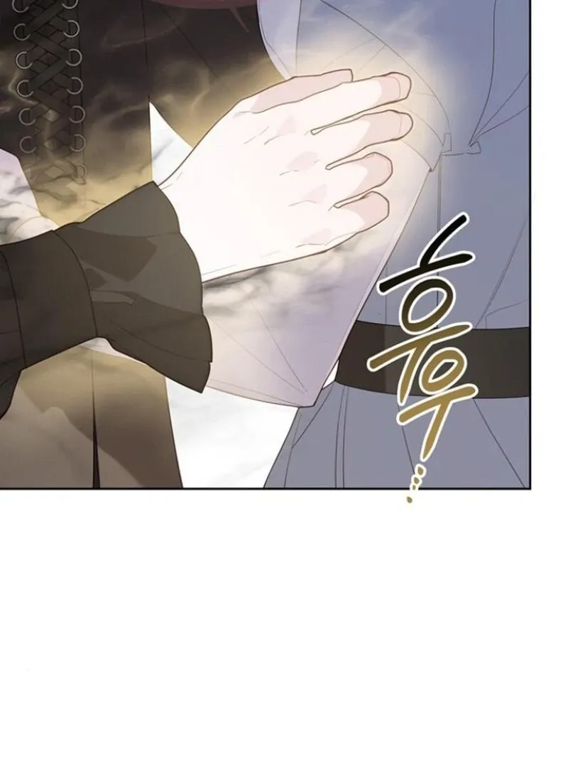 Born a Princess Chapter 120 page 93 - 
