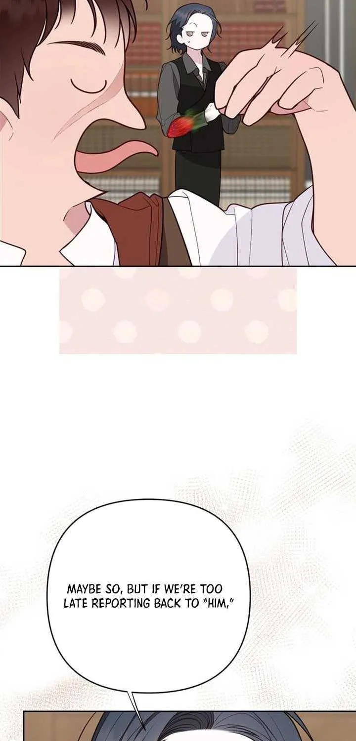 Born a Princess Chapter 126 page 81 - 