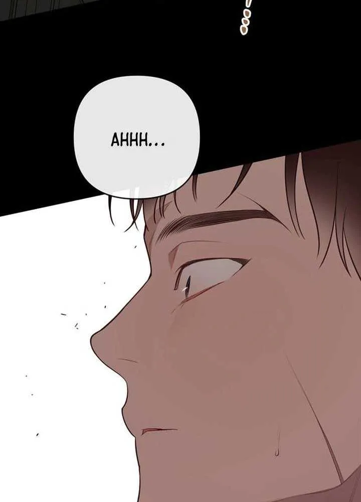 Born a Princess Chapter 126 page 89 - 