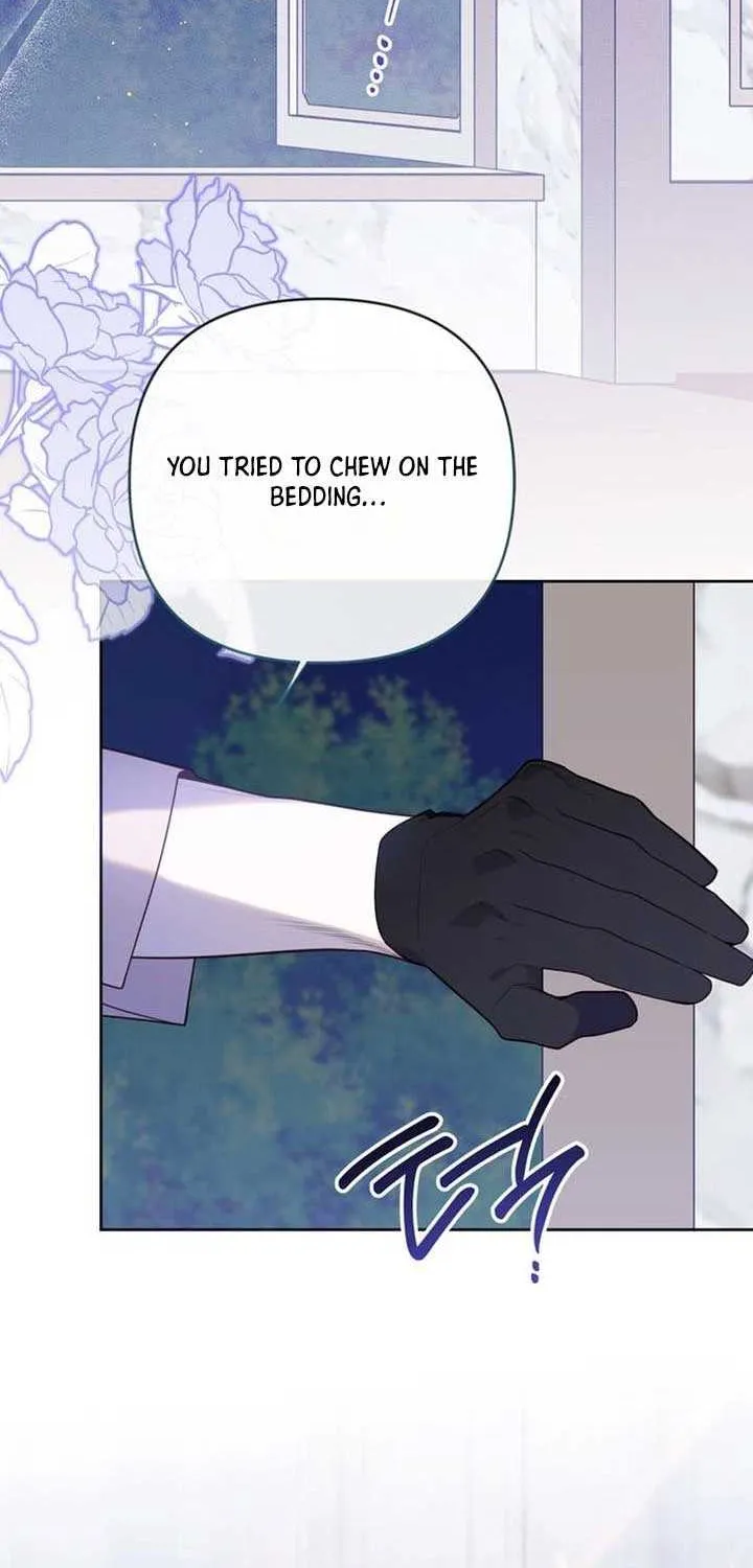 Born a Princess Chapter 127 page 17 - 