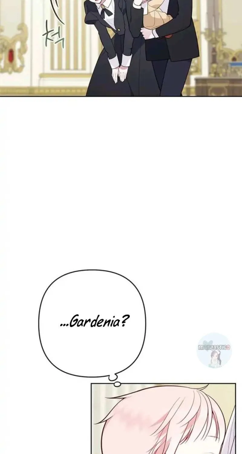 Born a Princess Chapter 16 page 43 - 