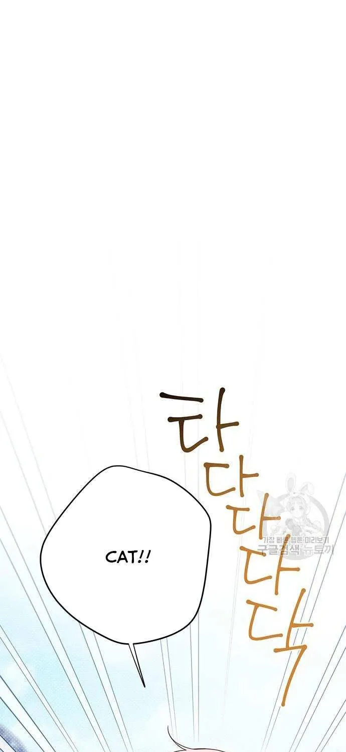 Born a Princess Chapter 26 page 14 - 