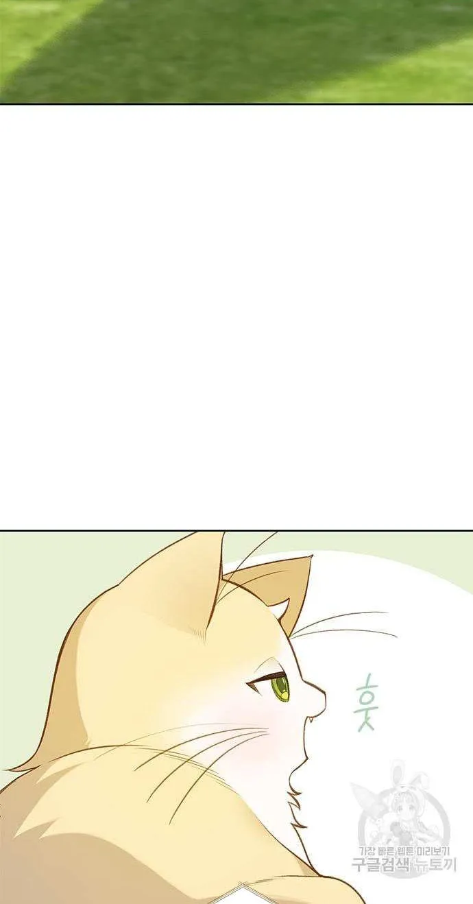 Born a Princess Chapter 26 page 19 - 