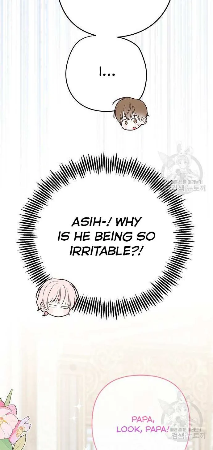 Born a Princess Chapter 26 page 81 - 