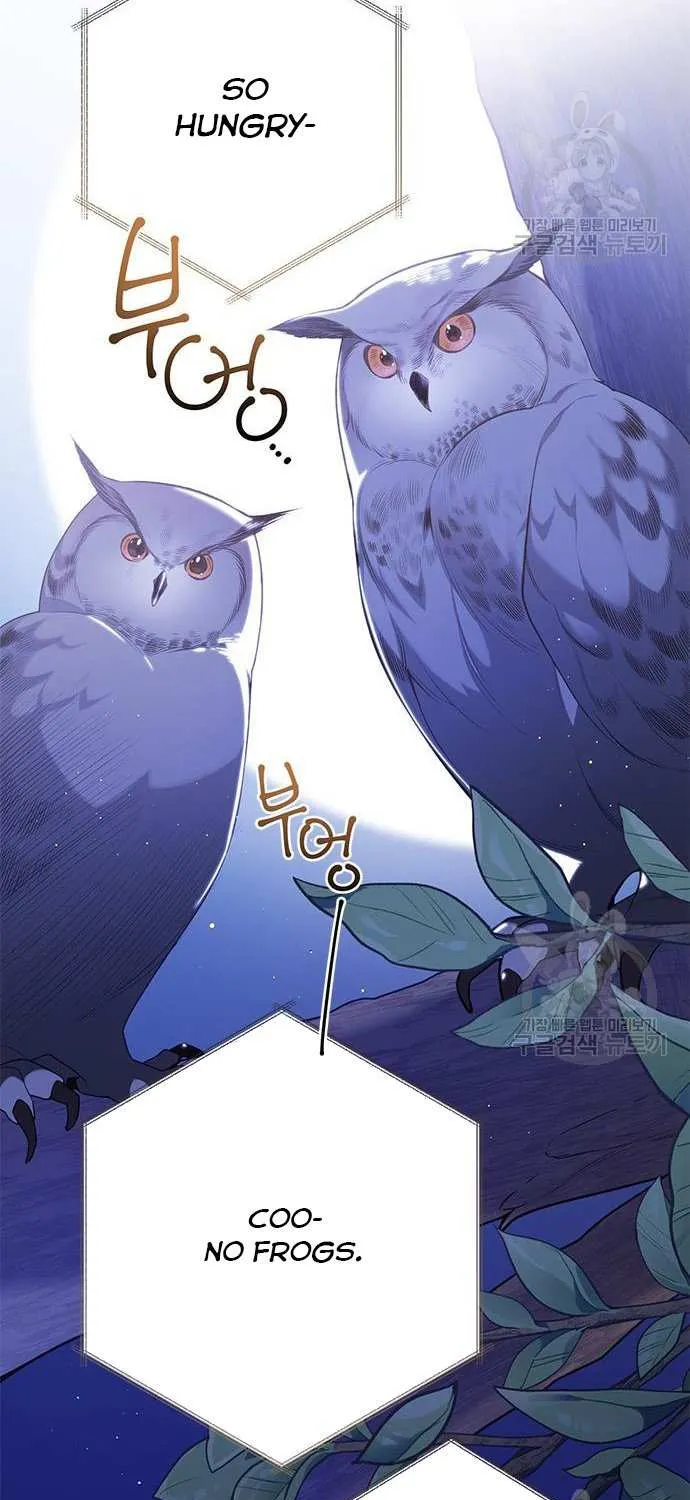 Born a Princess Chapter 26 page 10 - 