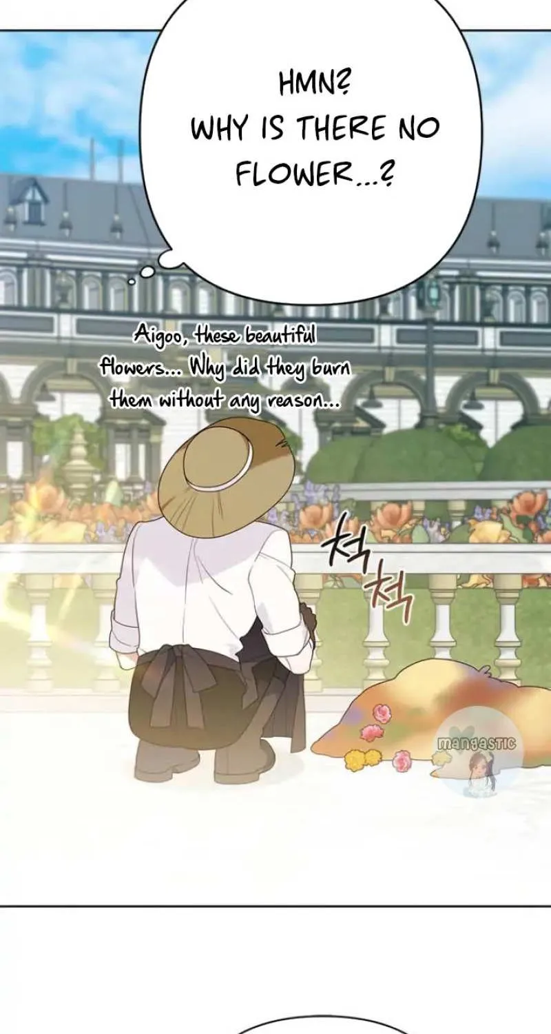Born a Princess Chapter 28 page 66 - 